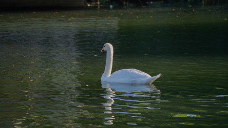 Similar image 21916540