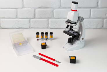 Similar image 21916547