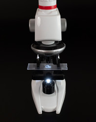 Similar image 21916548