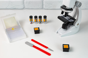 Similar image 21916559