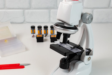 Similar image 21916560