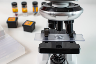 Similar image 21916562