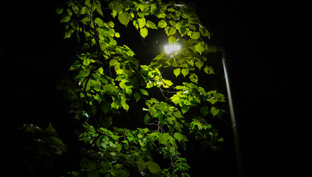 Similar image 21917143