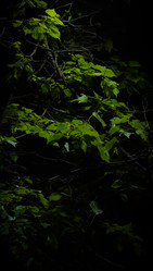 Similar image 21917144