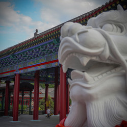 Similar image 21917153