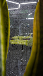 Similar image 21917155