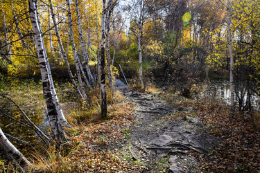 Similar image 21917231