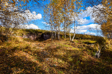 Similar image 21917237