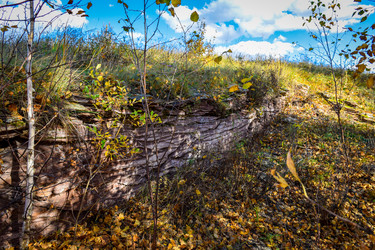 Similar image 21917239