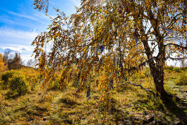 Similar image 21917247