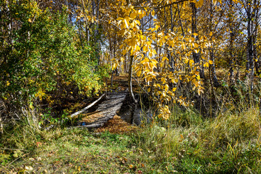 Similar image 21917249