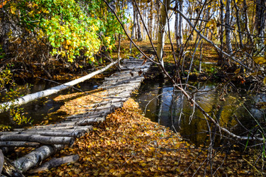 Similar image 21917251