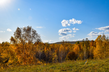 Similar image 21917252