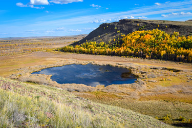 Similar image 21917269