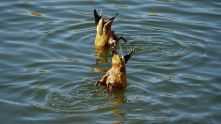 Similar image 21916569