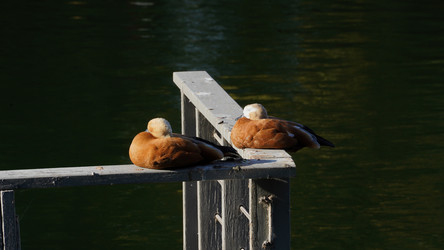 Similar image 21916570