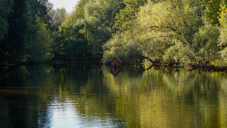 Similar image 21916572