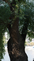 Similar image 21916574