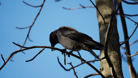 Similar image 21916577