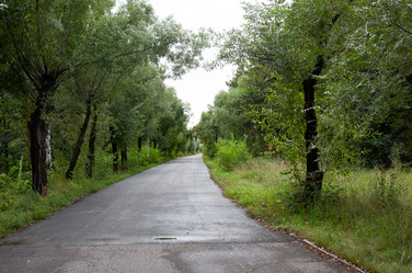 Similar image 21917419