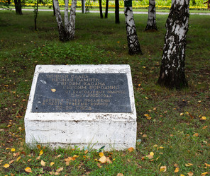 Similar image 21917421