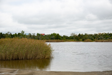 Similar image 21917427