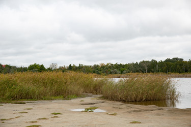 Similar image 21917446