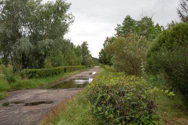 Similar image 21917649