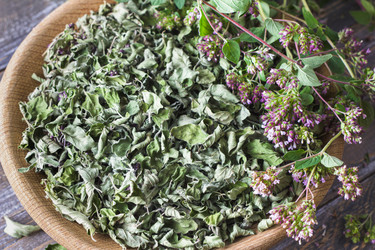 Similar image 21917495