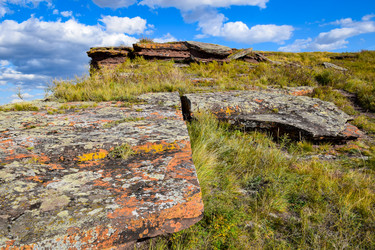 Similar image 21917287