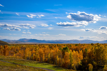 Similar image 21917295