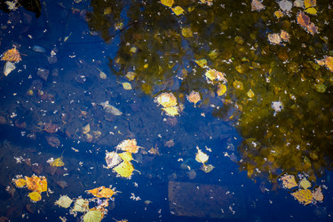 Similar image 21917297