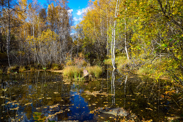 Similar image 21917298