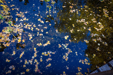 Similar image 21917299