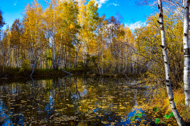 Similar image 21917300