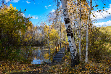 Similar image 21917301