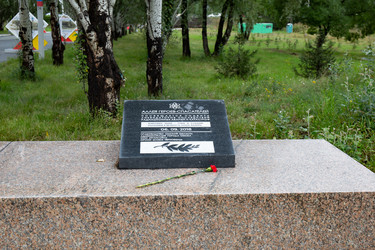 Similar image 21917656