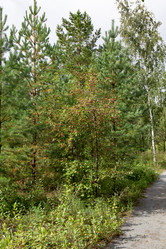 Similar image 21917694