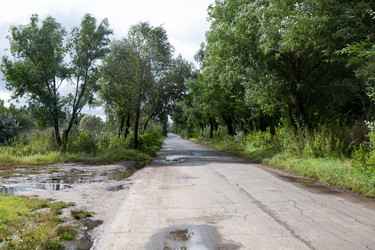 Similar image 21917696