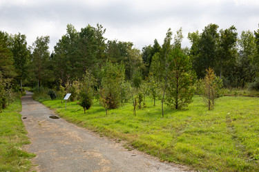 Similar image 21917697