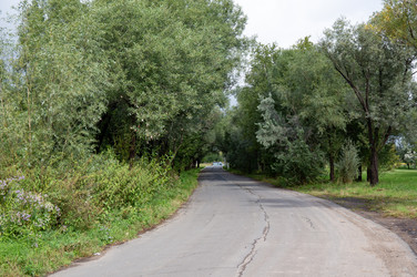 Similar image 21917698