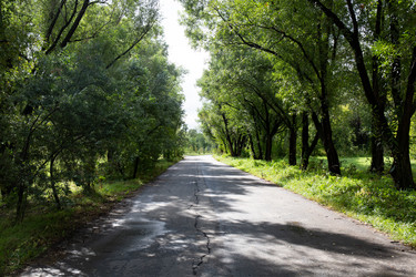 Similar image 21917699