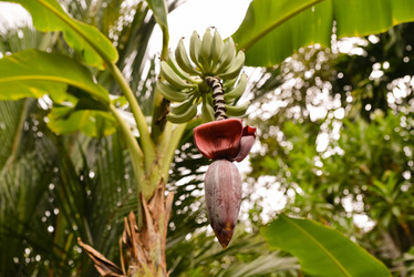 Similar image 21917834