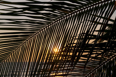 Similar image 21917843