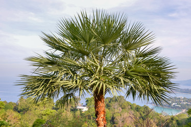 Similar image 21917847