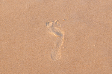 Similar image 21917948