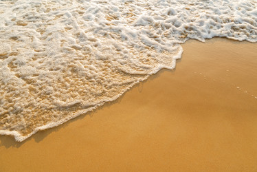 Similar image 21917949