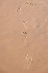 Similar image 21917951