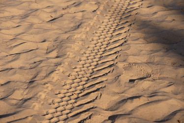 Similar image 21918055