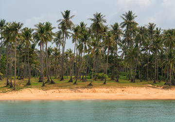 Similar image 21917309